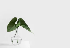 nghệ thuật tối giản là gì