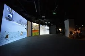 Lịch sử hình thành và phát triển của Video Art